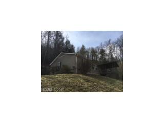 84 Lovdia Ln, Hendersonville, NC 28739-8401