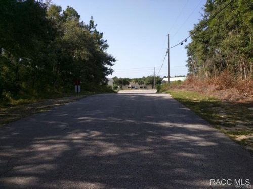 2583 Leesburg Ave, Hernando, FL 34442-5104