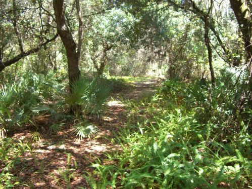 14717 Dupree Rd, Wimauma FL  33598-6211 exterior