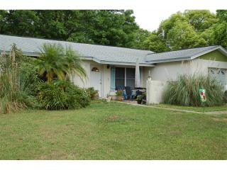204 Faithway Dr, Seffner, FL 33584-5708