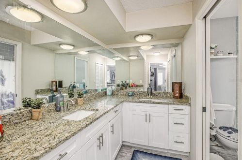 3460 Snowy Egret Ct, Palm Harbor FL  34683-2231 exterior