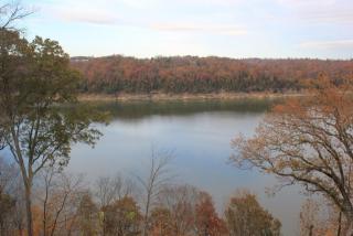 950 Green Hill Estates Rd, Oil Valley, KY 42633-7851