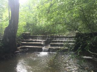 1200 Straight Fork Rd, Rarden, OH 45671