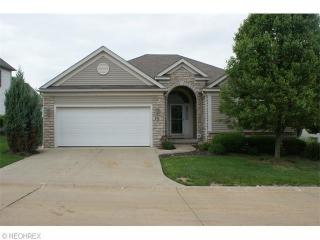 371 White Spruce Dr, Macedonia, OH 44056-1057