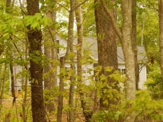 2276 Wicker Lovell Rd, Randleman, NC 27317-7681