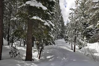 14141 Tyrol Rd, Truckee, CA 96161-6752