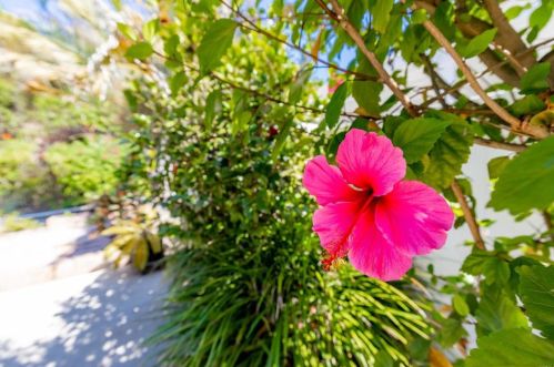 4547 Cordoba Way, Oceanside CA  92056-5102 exterior