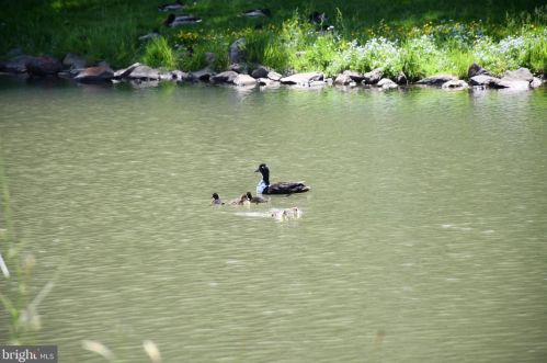 480 Columbia St, Schuylkill Haven PA  17972-2006 exterior