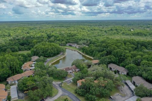 11606 Baywood Meadows Dr, New Port Richey FL  34654-2005 exterior
