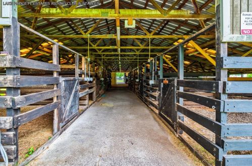 22528 Southshore Dr, Land O Lakes FL  34639-4726 exterior