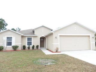 25 Russkin Ln, Palm Coast, FL 32164-8903