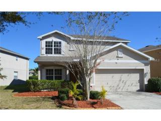 11263 Creek Haven Dr, Riverview, FL 33569-6209