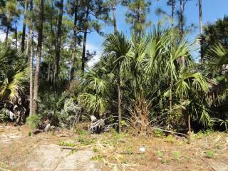 16624 84th Ct, Town Of Loxahatchee Groves, FL 33470-1724