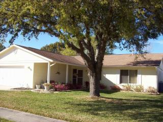 5443 Stratfield Dr, Orlando, FL 32821-7943