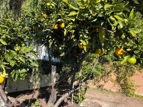 4761 Westridge Dr, Oceanside CA  92056-3003 exterior