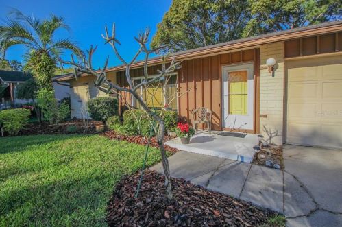 810 Helmsman St, Palm Harbor, FL 34685-1649