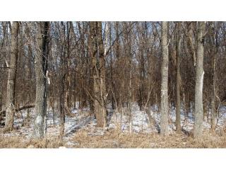15233 66th St, Hastings, MN 55033-9174