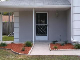 1653 Palm Leaf Dr, Brandon, FL 33510-2071