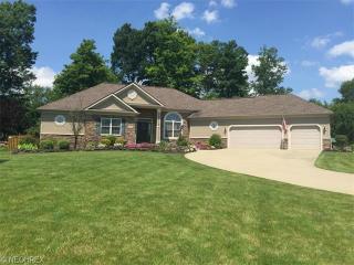 8753 Cherrywood Dr, Streetsboro, OH 44241-5898