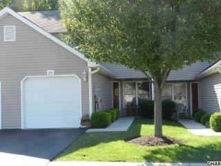 614 Pintail Dr, Etters, PA 17319-8868