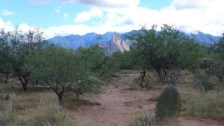 2205 Quail Way, Tumacacori, AZ 85645-9725