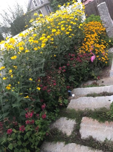 32 Pne St, Dover NH  03820-4202 exterior