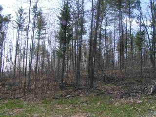 104 Bluestone Dr, Wausau, WI 54401-4828