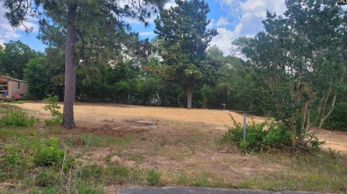 1144 Brown Blvd, Lexington SC  29073-8973 exterior
