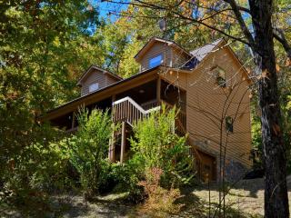 4 Couch Mountain View Dr, Fletcher, NC 28732-7555