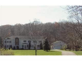 3440 Woodling Way, Medina, OH 44256-9253
