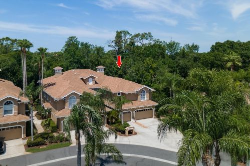 4214 Preserve Pl, Palm Harbor, FL 34685-4032