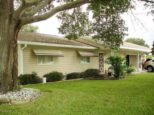 10305 178th Pl, Summerfield, FL 34491-7449