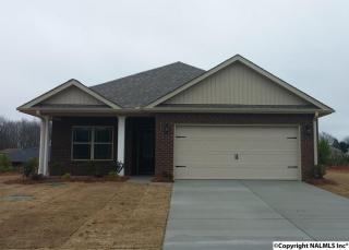 134 Clydesdale Ln, Harvest AL  35749-1600 exterior