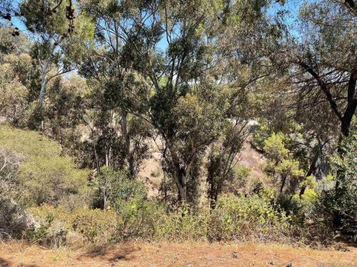 3684 Alexia Pl, San Diego CA 92116-2236 exterior