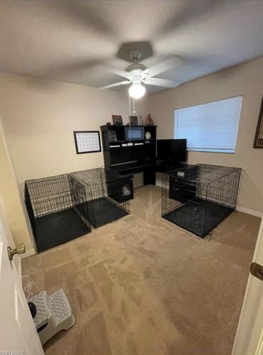 1705 2nd Ave, Cape Coral FL  33909-5202 exterior