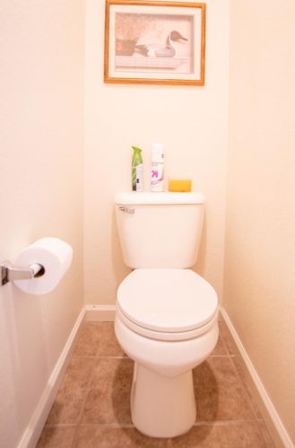 767 Red Barn Pl, Lathrop CA  95330-8975 exterior