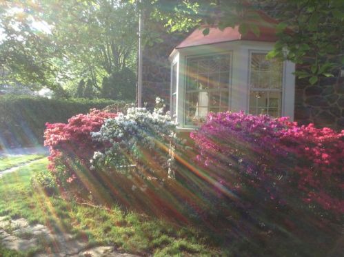 4602 Weldin Rd, Wilmington, DE 19803-4826