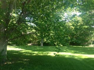 3908 Hobbs Rd, Nashville, TN 37215-2219