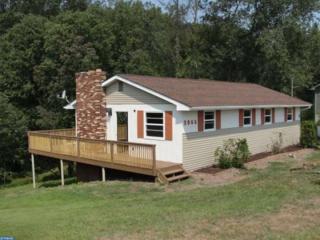 2066 Mustang Cv, Brommerstown, PA 17922-9354