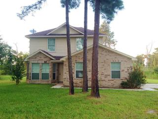 25330 Sun Fisher Ct, Magnolia, TX 77355-5404