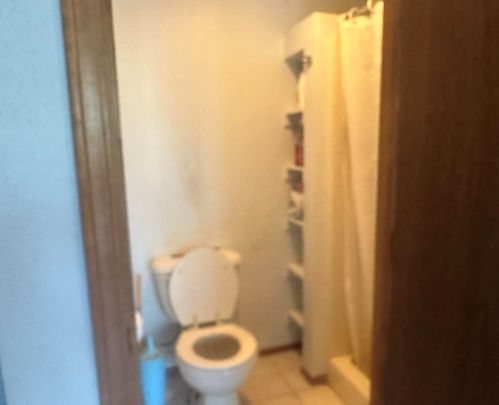 296 Chandler Rd, Spanish Ranch CA  95971-9668 exterior