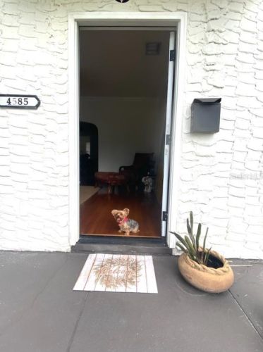 4585 9th Ave, Saint Petersburg, FL 33711-1911