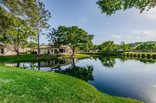 4474 Connery Ct, Palm Harbor FL  34685-3139 exterior