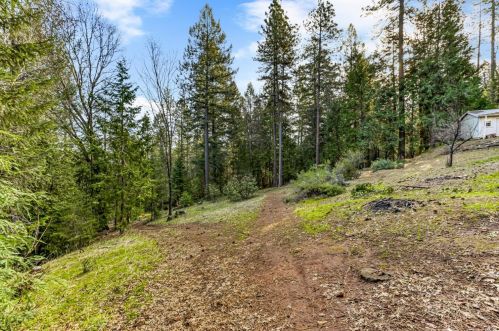 20134 Hosmer Mine Ct, Michigan Bluff CA  95631-9777 exterior