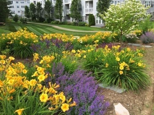 7 Morgan Dr, Natick MA 01760-4872 exterior