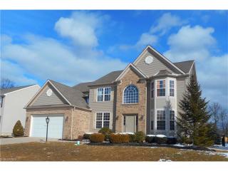 2423 Chelsea St, Avon, OH 44011-5234