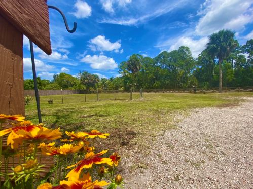 15817 Key Lime Blvd, Town Of Loxahatchee Groves FL  33470-3118 exterior