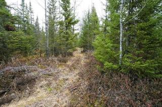 8839 Townline Rd, Zim, MN