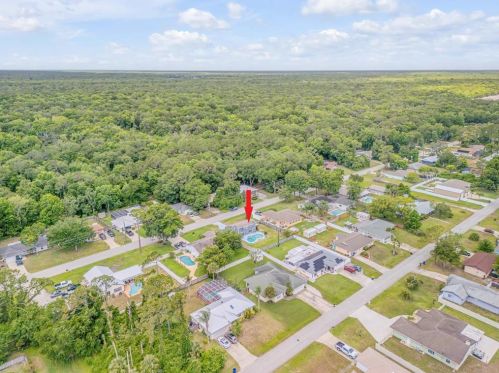 2819 Silver Palm Dr, Edgewater FL 32141-5501 exterior