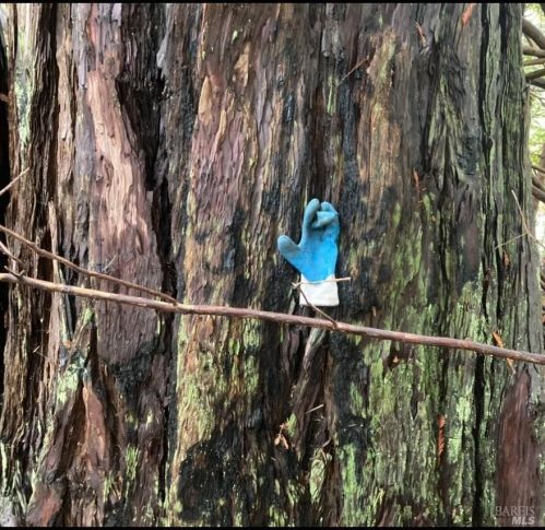 43400 Iversen Rd, The Sea Ranch CA  95445-7582 exterior